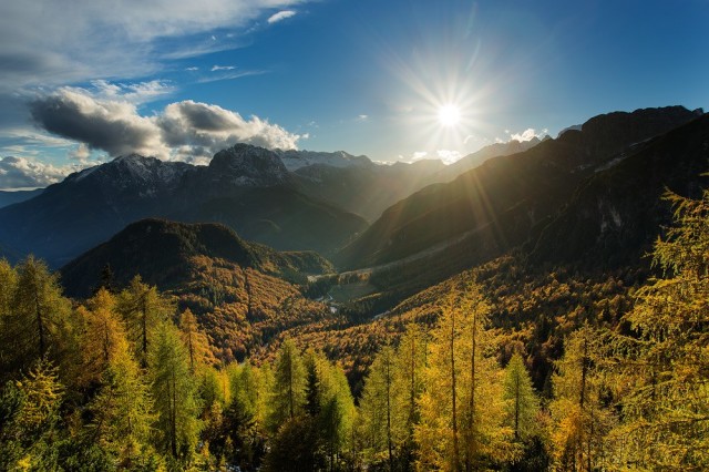 Autumn display on Mangrt Pass
