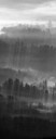 649v0731-cb.jpg