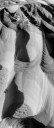 _tf_0501-edit-copy.jpg