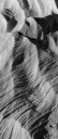 _tf_0508-edit-copy.jpg