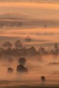 649v9877-edit-copy.jpg