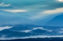 _tf_1490-edit-copy.jpg